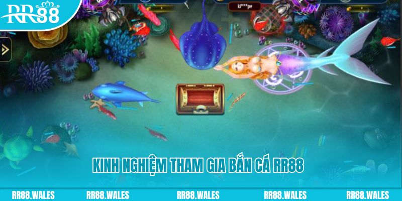 777vin777 casino tỷ lệ bóng đá