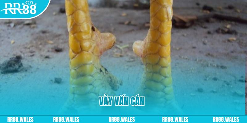 w88 ax casino link mới