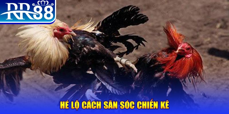 caxeng casino LÀ GÌ
